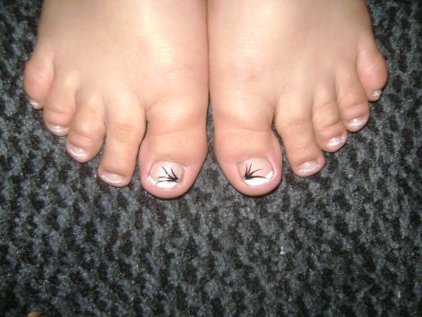 dsc01527.jpg